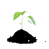 Feeds , Supplements & Seeds